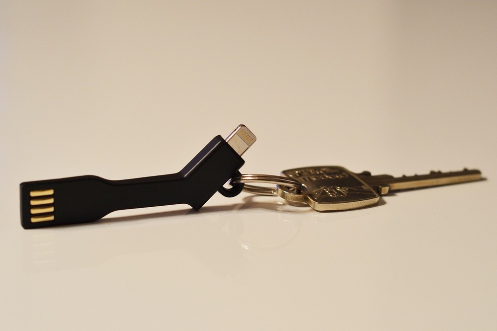 iPhone Charge and Sync Cable Keychain