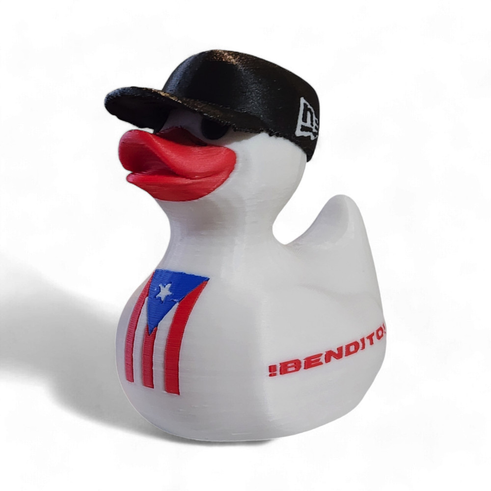 Puerto Rico Duck