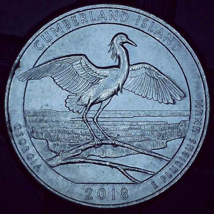 2018 P Quarter error collar clash and die chip