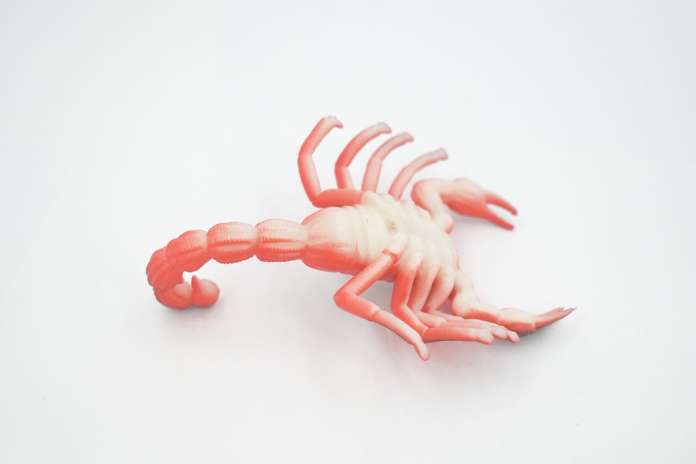 Scorpion, Red Black Big Solid Rubber Bug, Toy, Realistic Figure 5" ABC14 B263