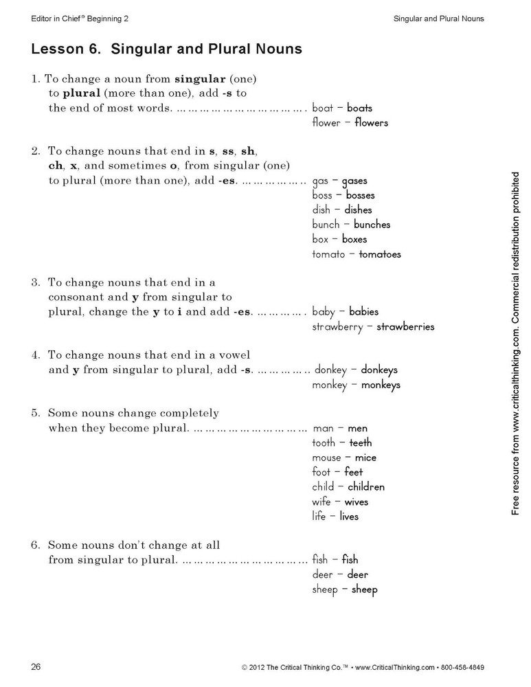 Editor in Chief Beginning 2 Grades 3-4 Grammar Punctuation Supplemental Workbook