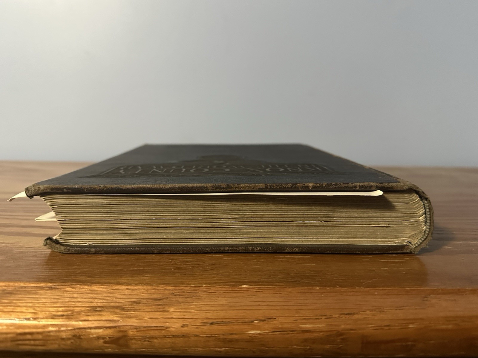 Antique 1919 Knox County In The World War WWI Era (Tennessee) (Shelf 1B1) Book