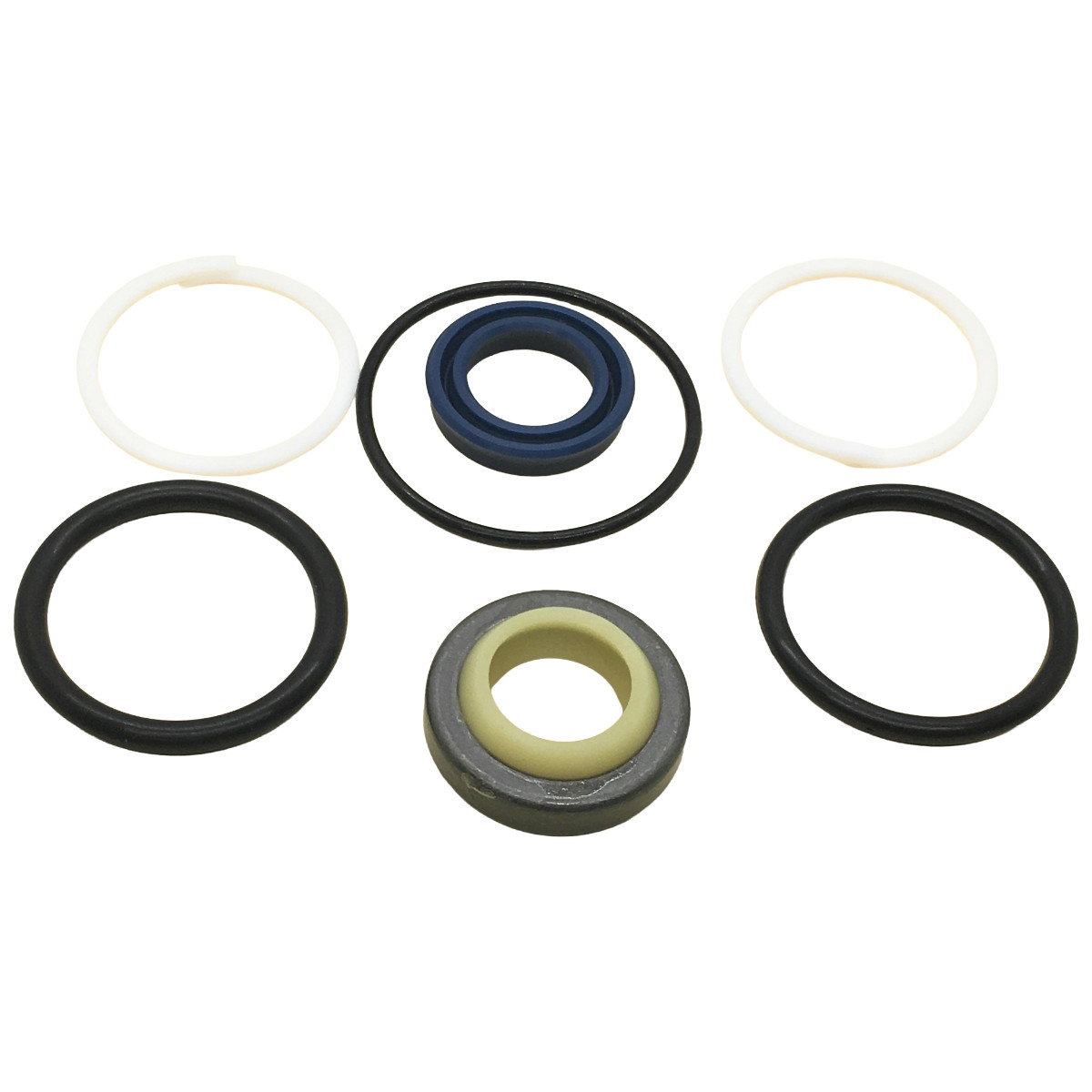 Steering Cylinder Seal Kit New Holland TC 15 20 Series & CASE IH D DX T Series