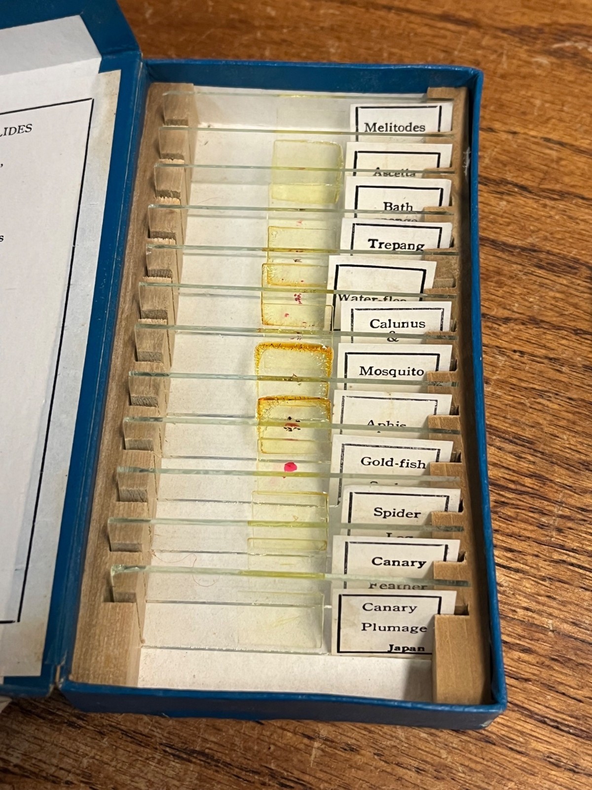 Vintage Tasco Microscope Slides Scientific Homeschool Lot Animals Plants Fibres