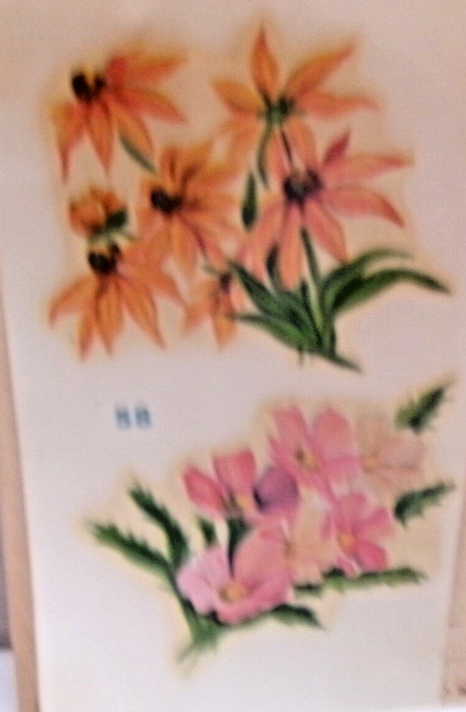 VINTAGE DURO WATER SLIDE DECALS -FLOWERS