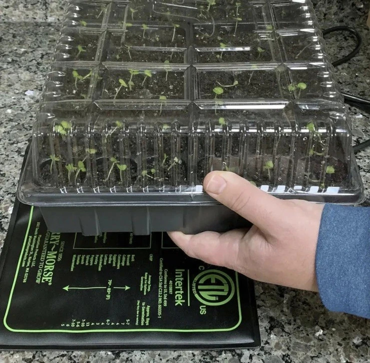 10"x20" Seed Starting Heat Mat Seed Cloning Heating Pad Germination Station NEW