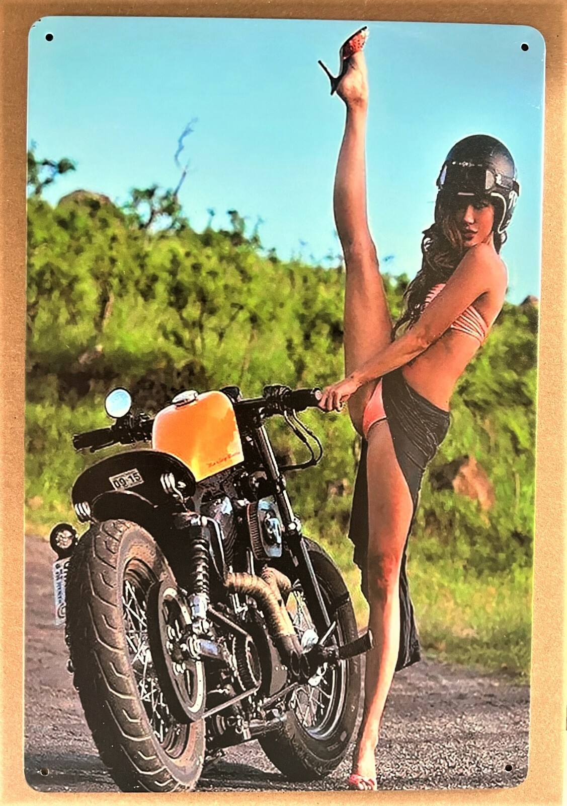 Harley Biker Babe #2 Tin Sign (Panhead Knucklehead Fatboy Sportster Twin ) CGH60