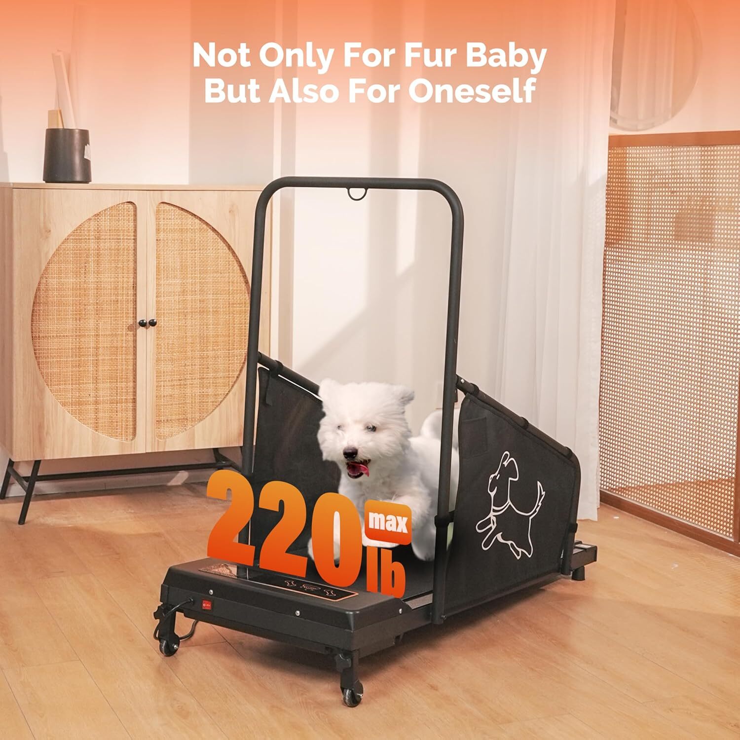 Dog Treadmill for Small to Medium Dogs – Pet Running Machine LED Display, Quiet