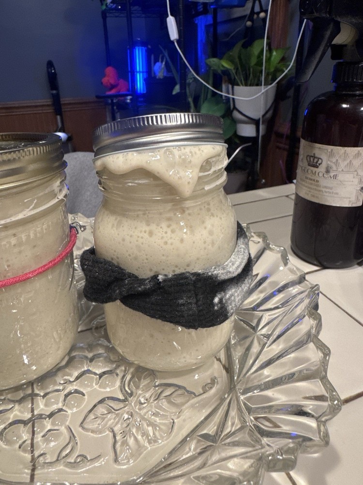 Dehydrated Sourdough Starter
