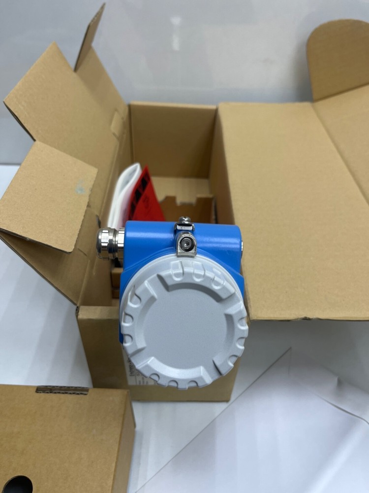Endress Hauser SOLIPHANT M FTM50-3GJ2A2A52AA