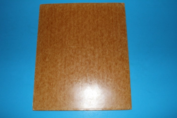 Marlen Mint Sheet File Capacity 18 pgs 1 pocket 11.75" x 9.5" BlueLakeStamps
