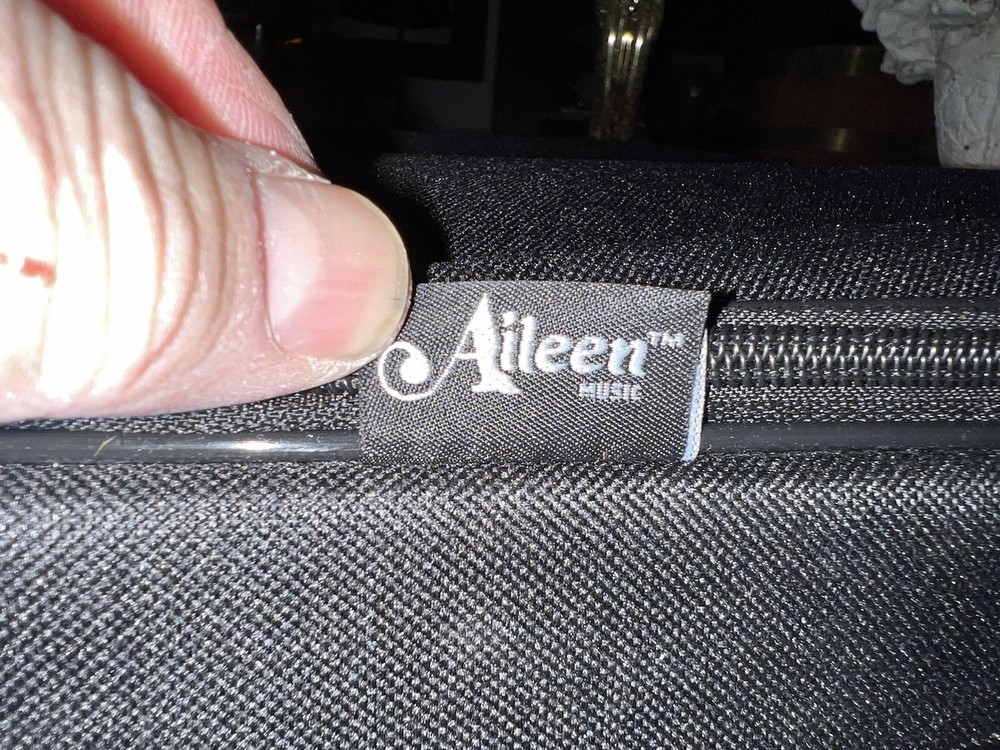 Aileen CSV102 Basic Lightweight Suspension Violin Black Zip Hard Case backpack