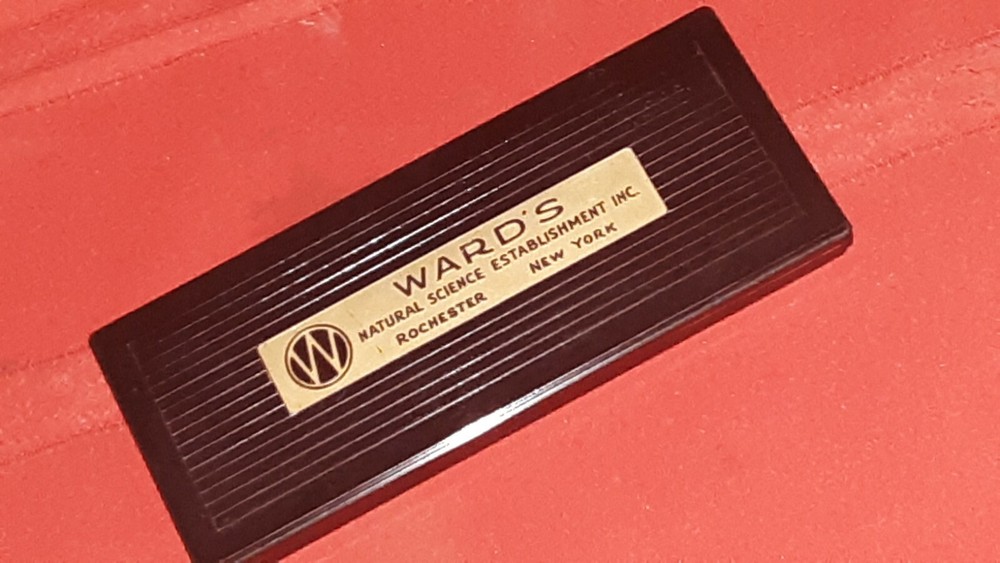 Vintage Ward's natural science dissection kit