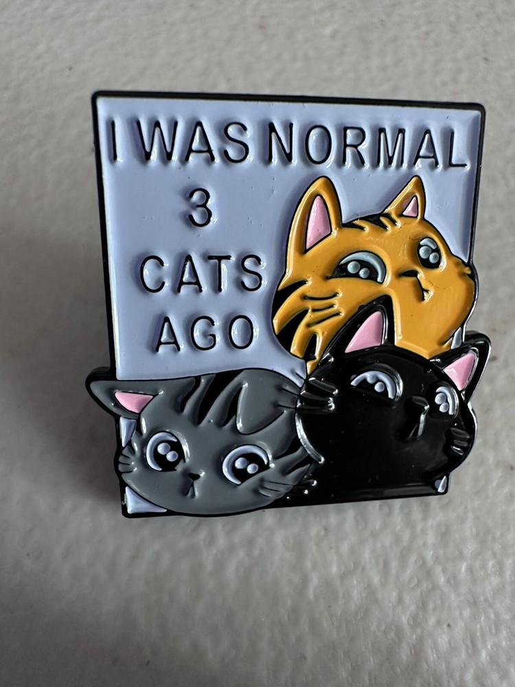 I Was Normal 3 Cats Ago Pin