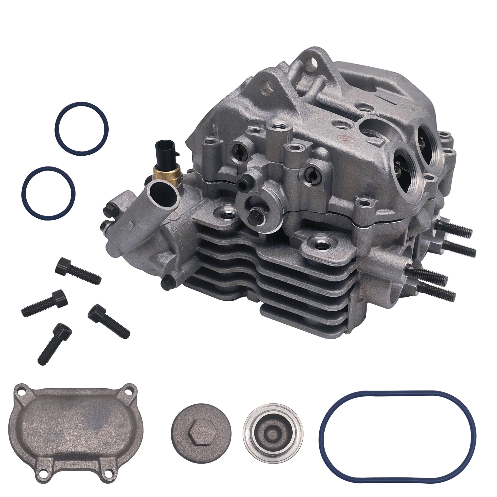 Hisun 750 Cylinder Head Cylinder Chain Rebuild Kit HS Coleman Cub Cadet US