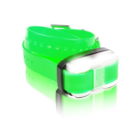 Dogtra Edge Remote Trainer Extra E Collar Receiver Green Strap