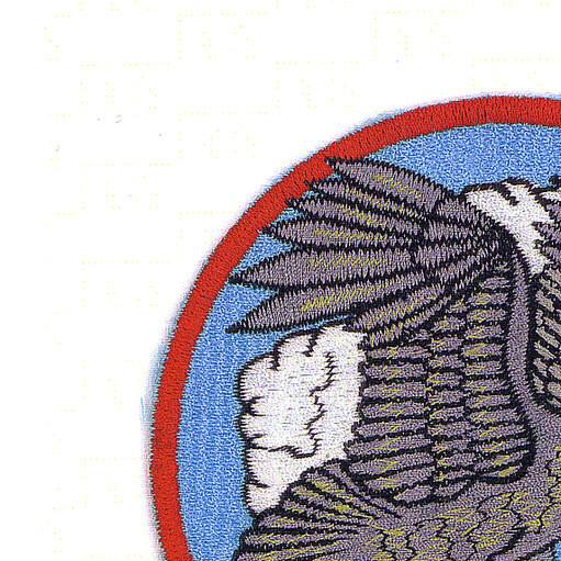 VP-64 Patrol Squadron Patch