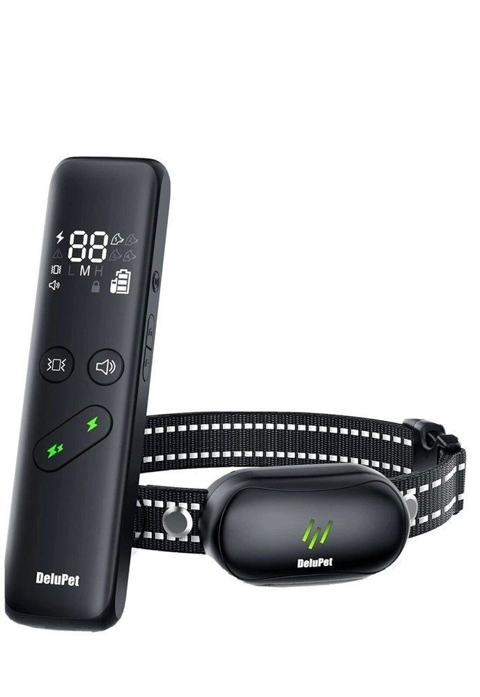 dog training collar with remote