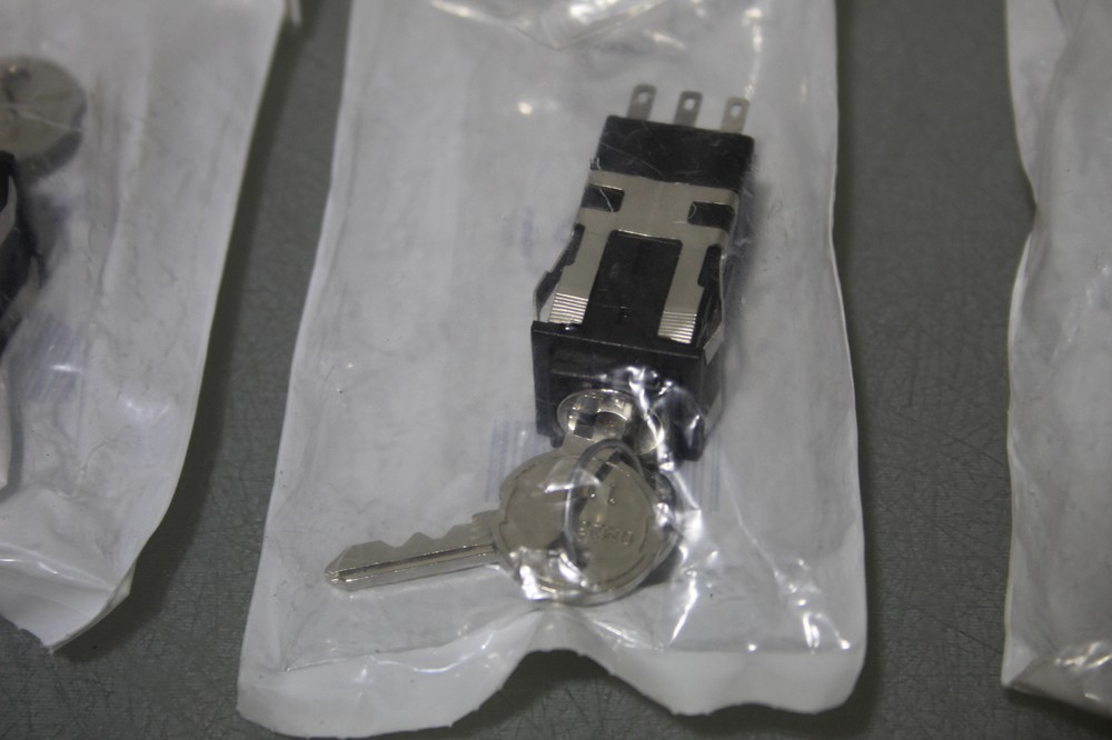 3XKey Switch, Double Pole Double Throw (DPDT)(C5877-R13)