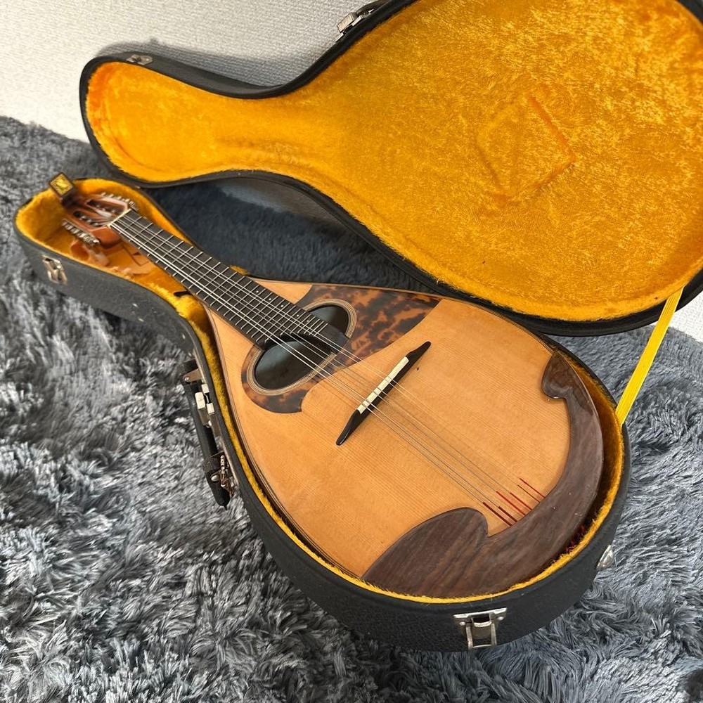 Misuzu Mandolin String Instrument Hard Case Supervised by Minoru Noguchi Luxury