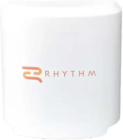 Lifestyle Rhythm P2 Battery