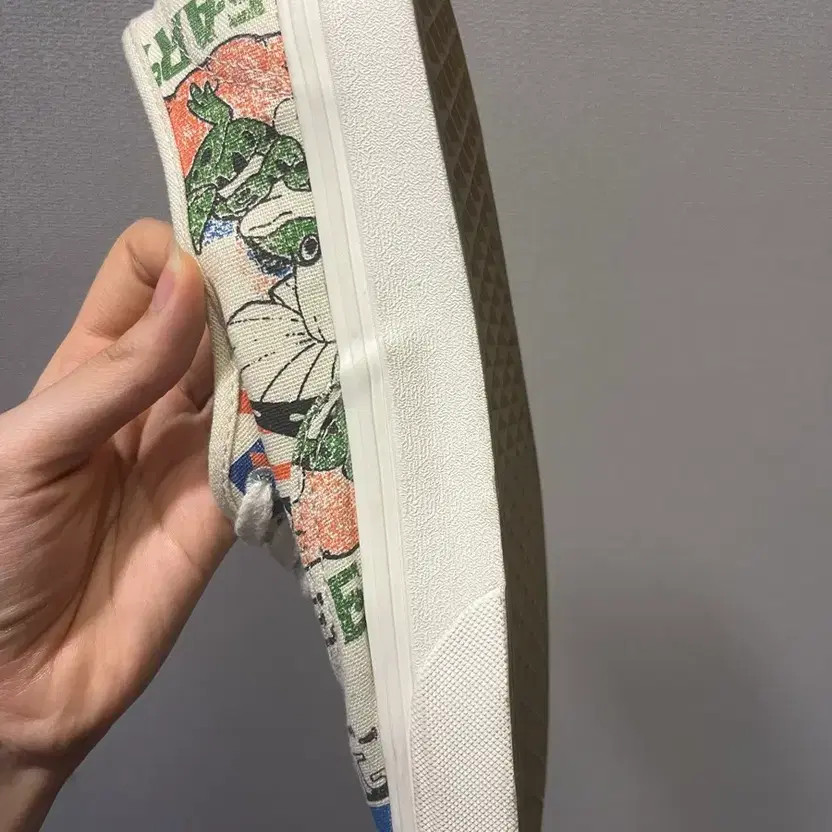 Vans Authentic Earth Graphic Sneakers