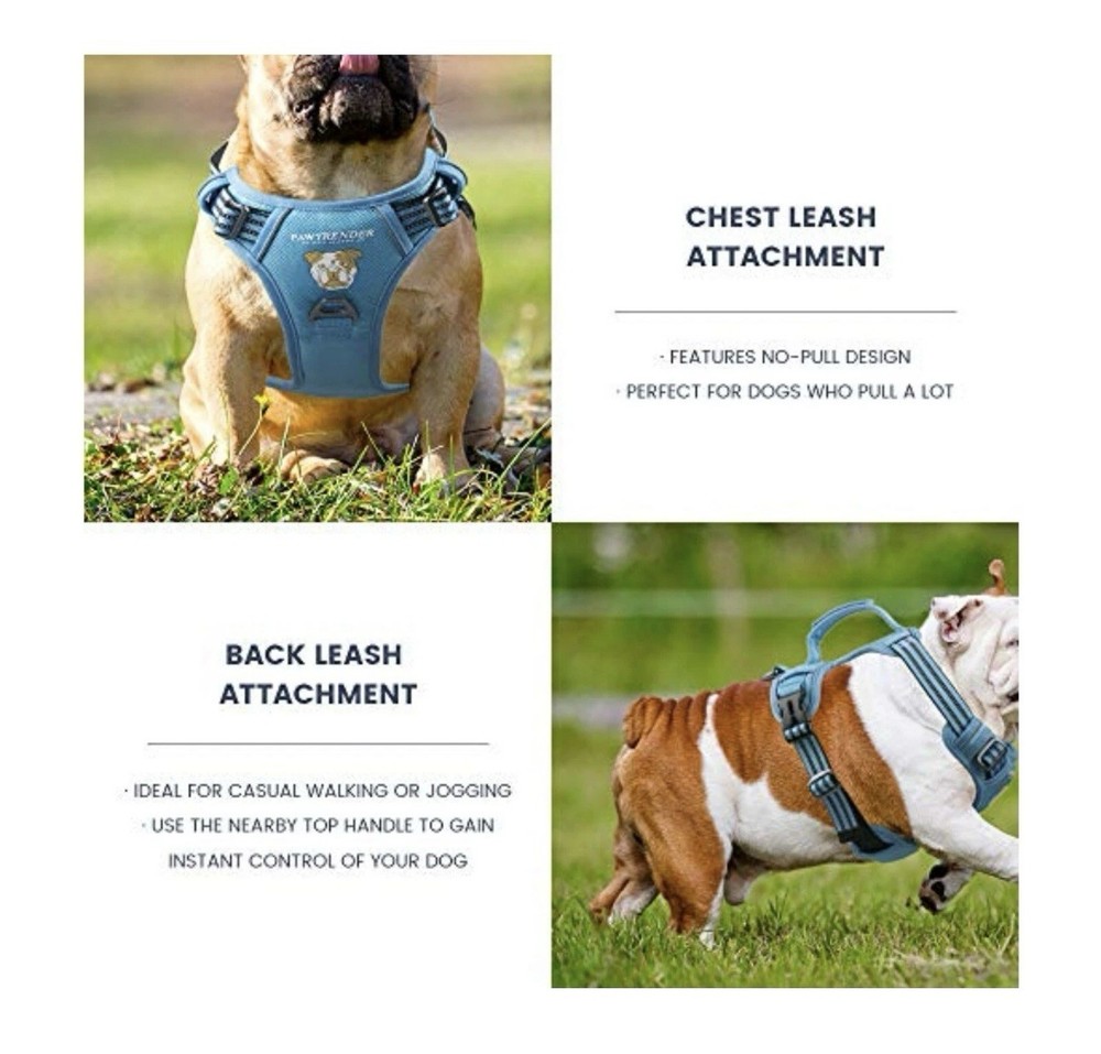 Pawtrender No Pull Dog Harness (Blue) ( X Large)