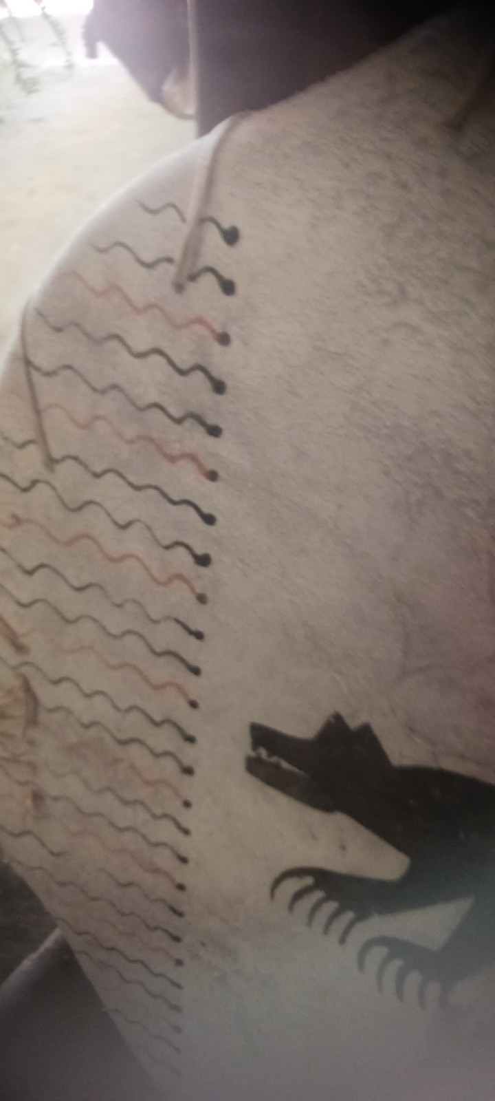 ** AWESOME NATIVE AMERICAN WALL ART PAINTED BISON SHIELD DISPLAYS BEAUTIFUL**