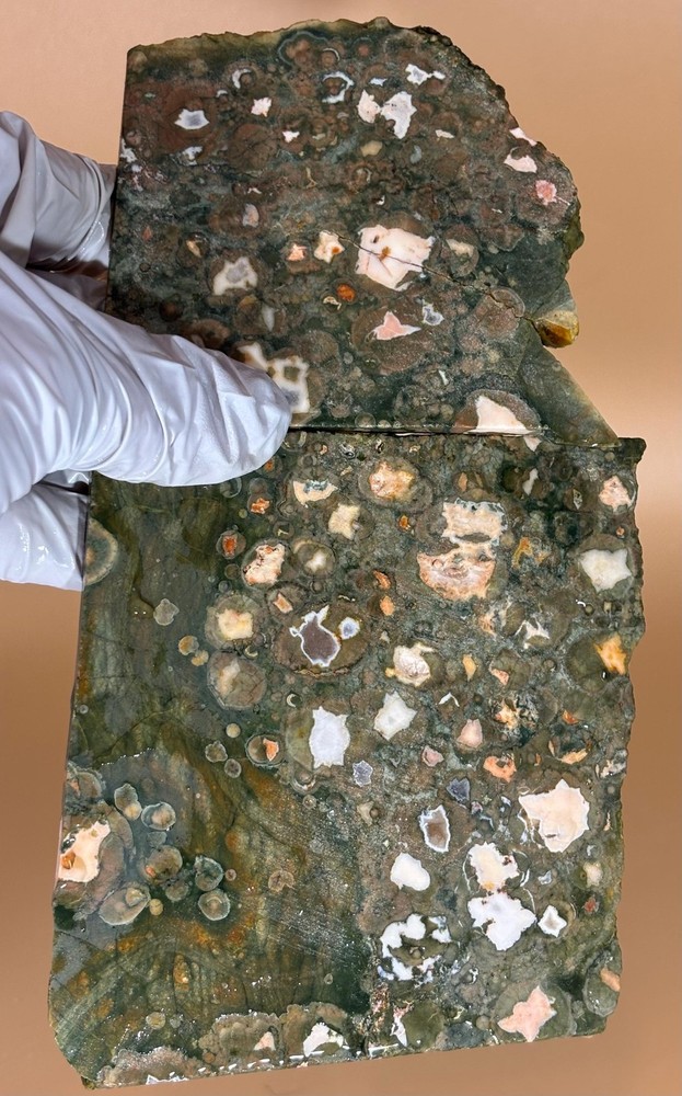 Exquisite Rainforest Jasper SET