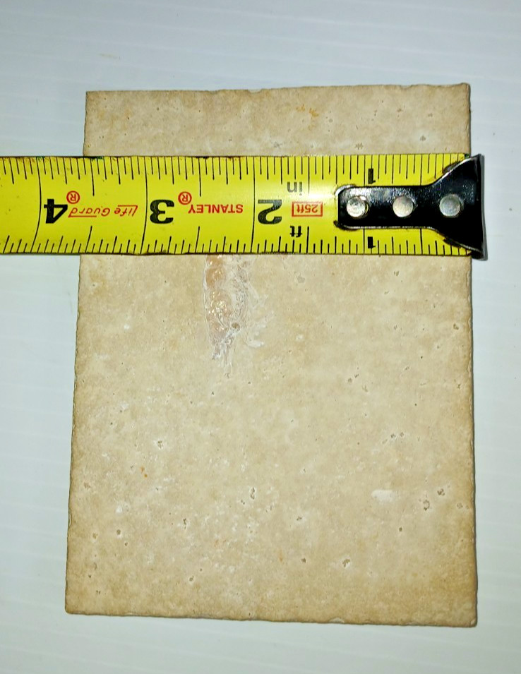 Shrimp Fossil