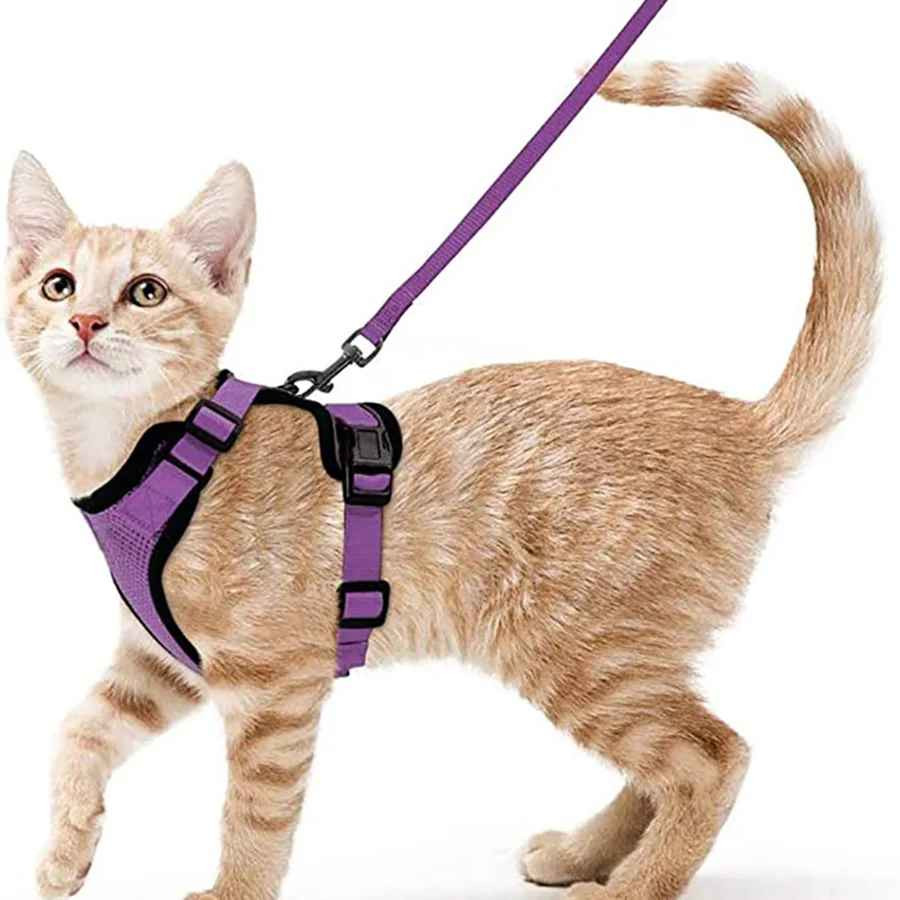 Cat Harness and Leash for Walking, Escape Proof Soft Adjustable Vest Harnesses f