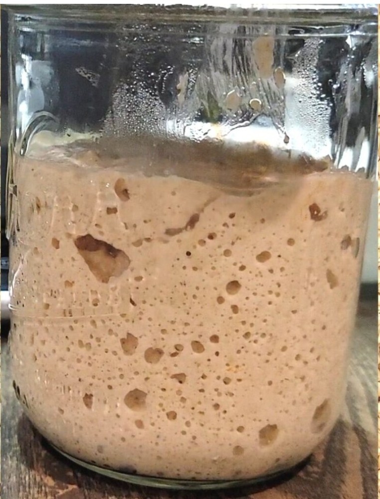 Sourdough Starter " Black Death "