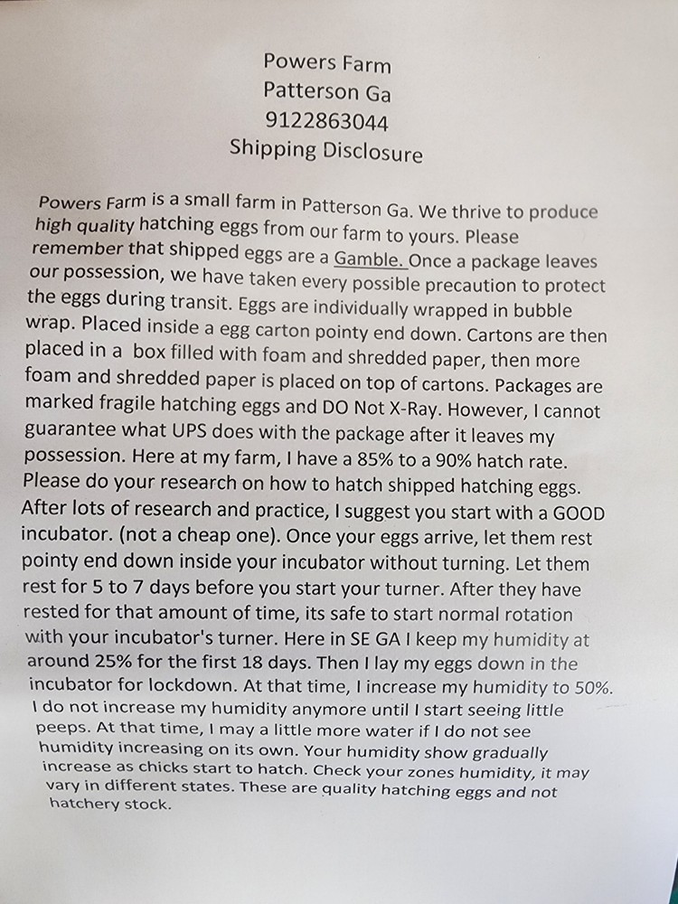 Burbon Red Turkey Hatching Eggs 12+ NPIP