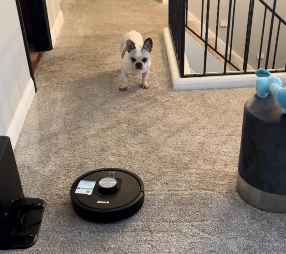 Shark R-RV2310AE Matrix Self Empty Robot Vacuum - Scratch & Dent