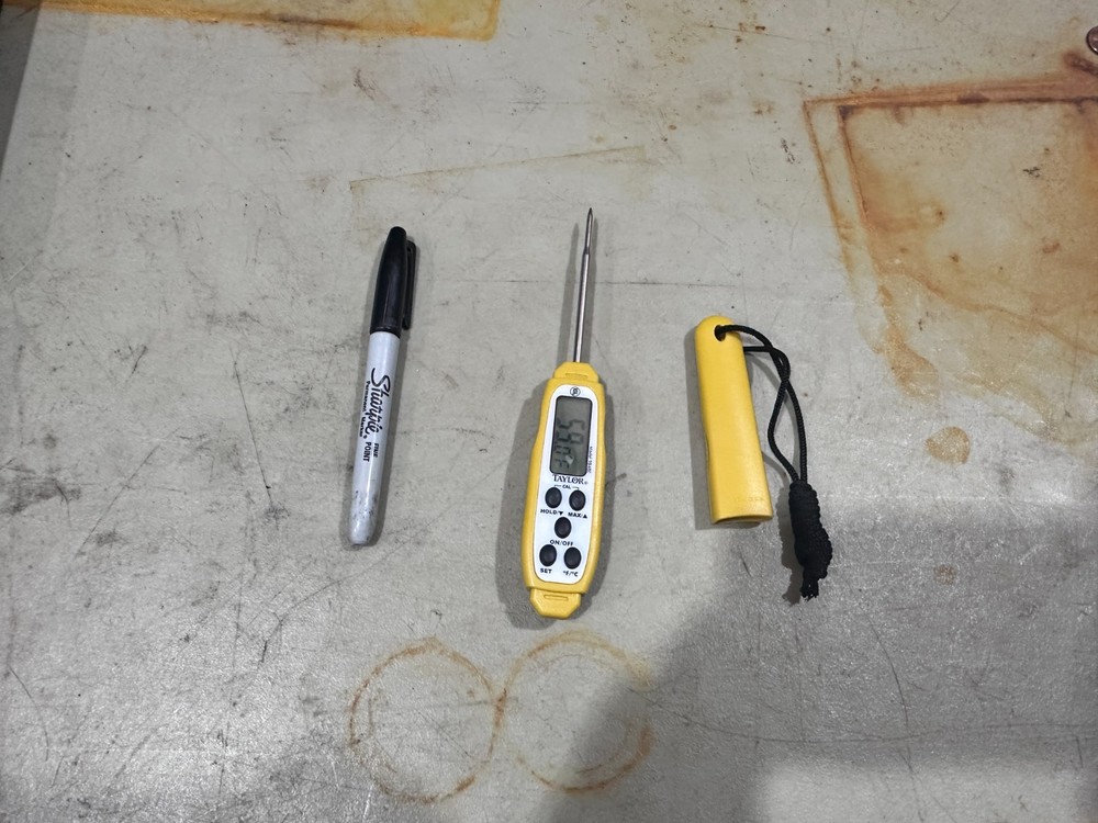 Taylor 9848E Digital Thermometer