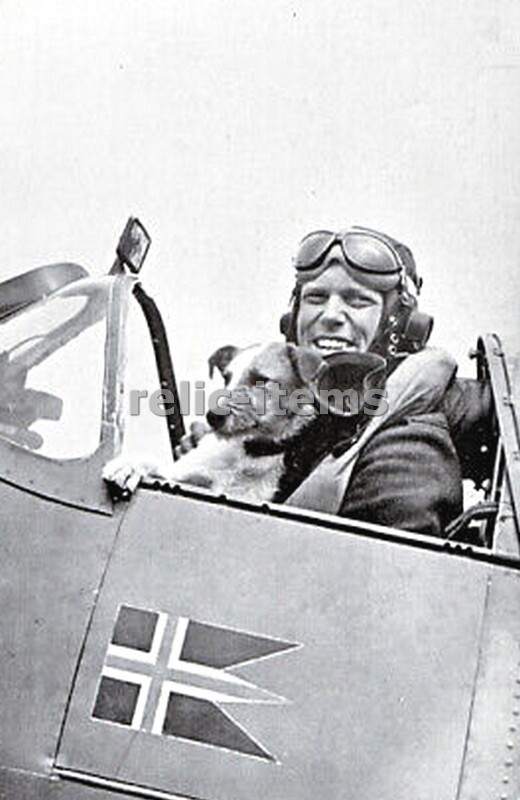 WW2 PICTURE PHOTO UK RAF SPITFIRE PILOT WITH HIS DOG MASCOT 6851