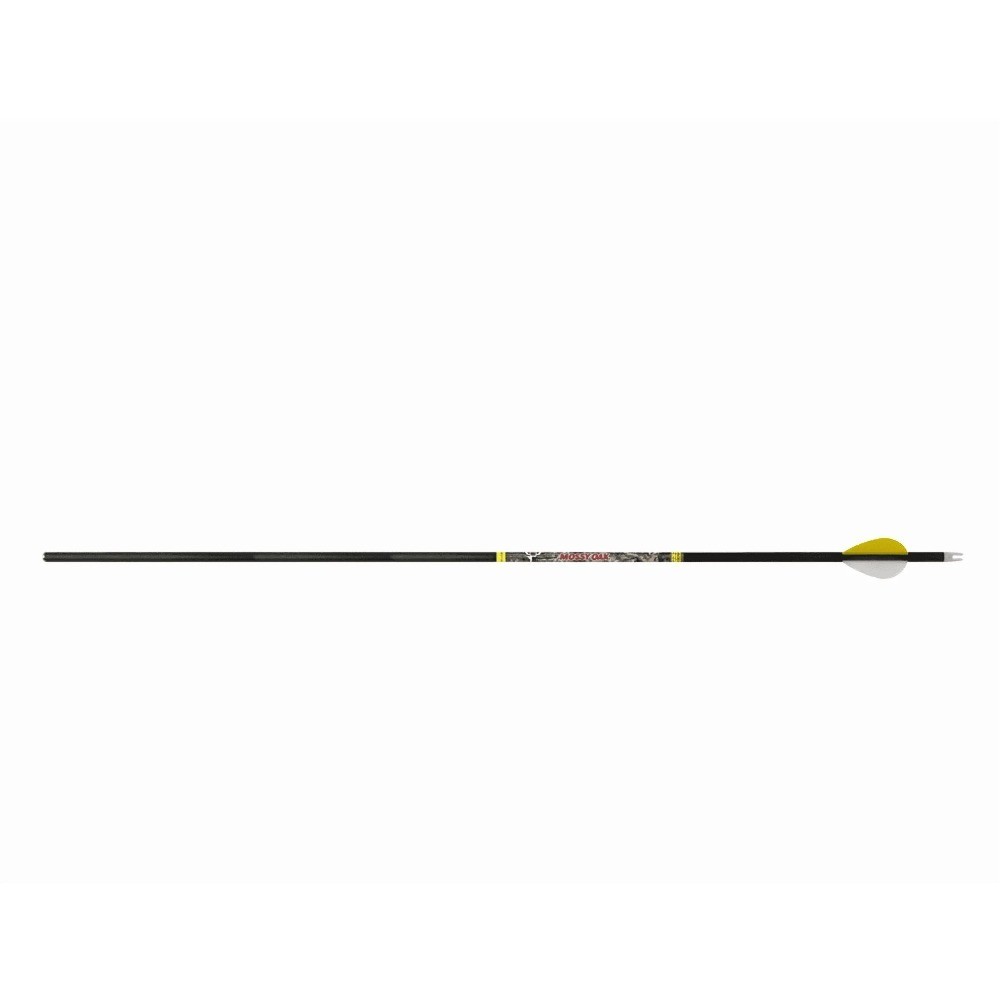 Carbon Archery Arrows for Recurve & Compound Bows with Removable Tips