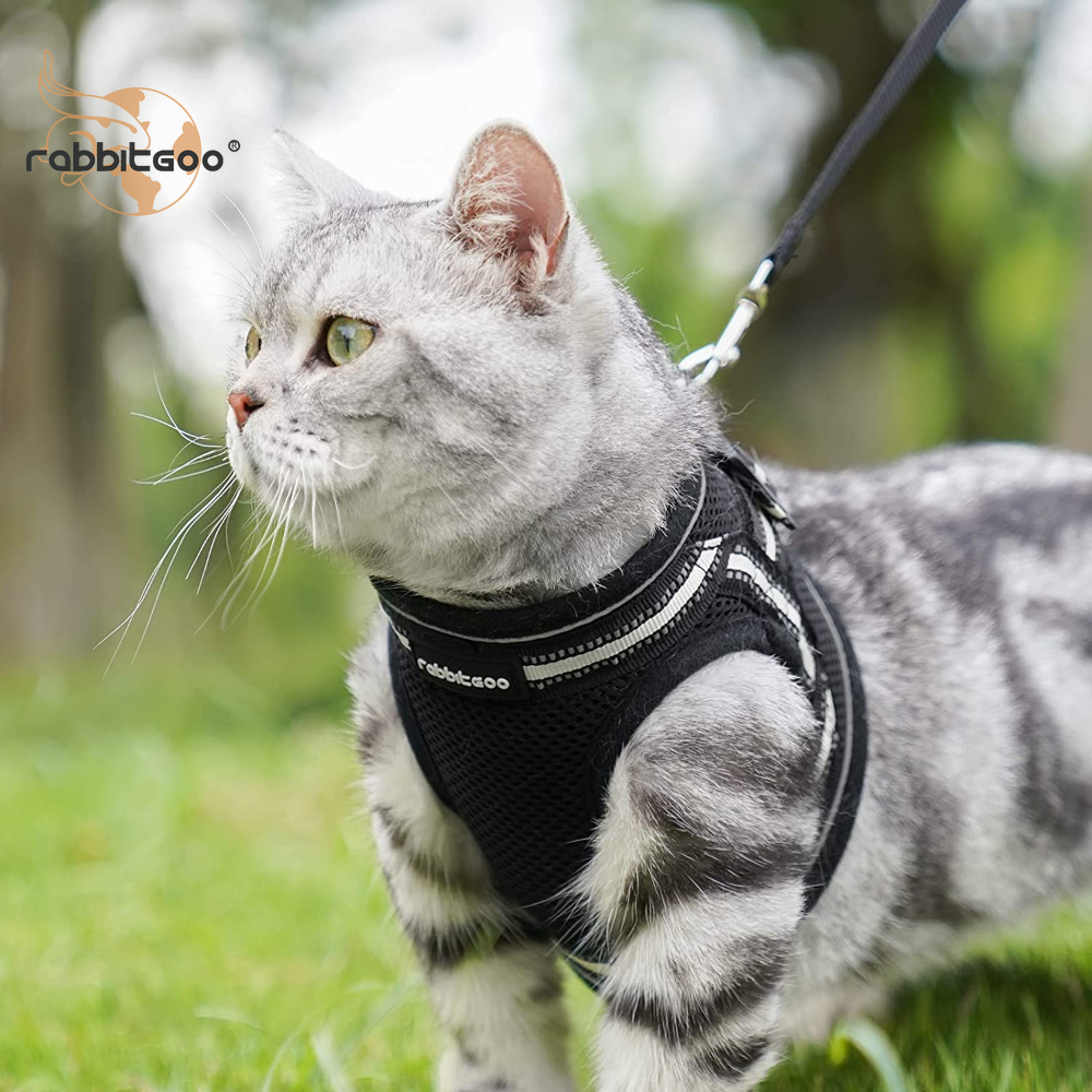 rabbitgoo Pet Cat Harness & Leash Set Dog Walking Vest Escape Proof Adjustable