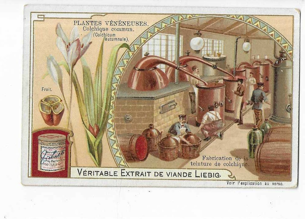Chromo Liebig All Plants
