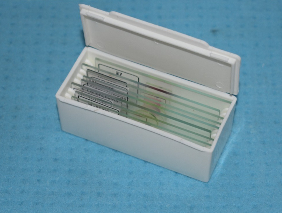 Microscope Slide case box contain 10 Slide