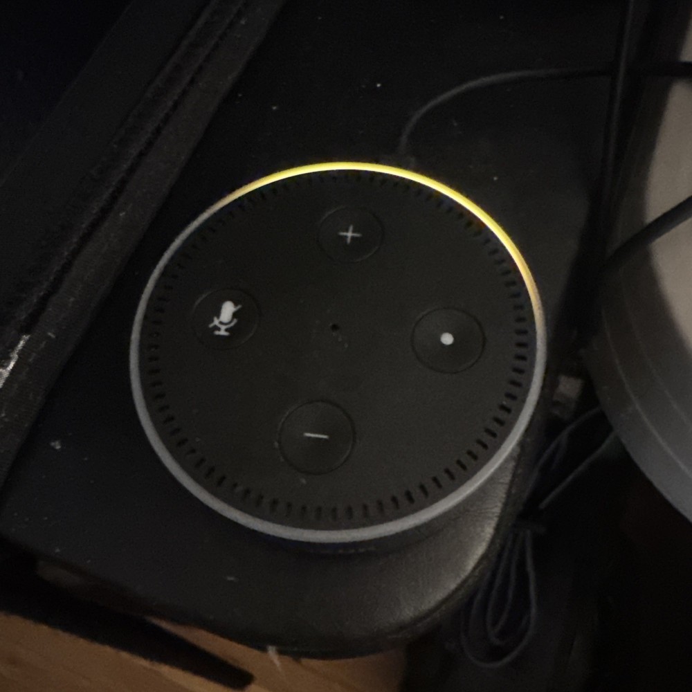 2 Amazon Echo Dot RS03QR 2nd Gen Black w/ USB Power Cable & Plug Tested/Working