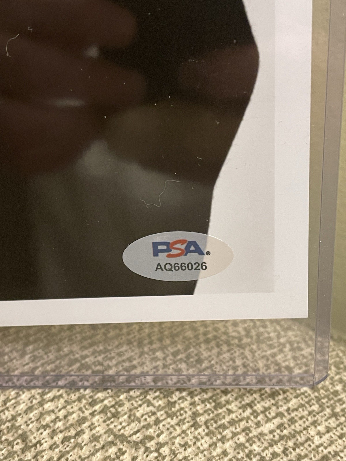 David Letterman Signed 8x10 Photo PSA/DNA Authenticated Late Night Show Host TV