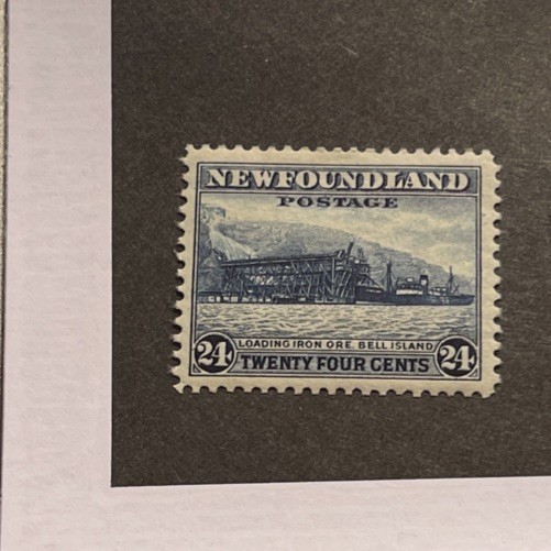newfoundland stamps 210 MNH