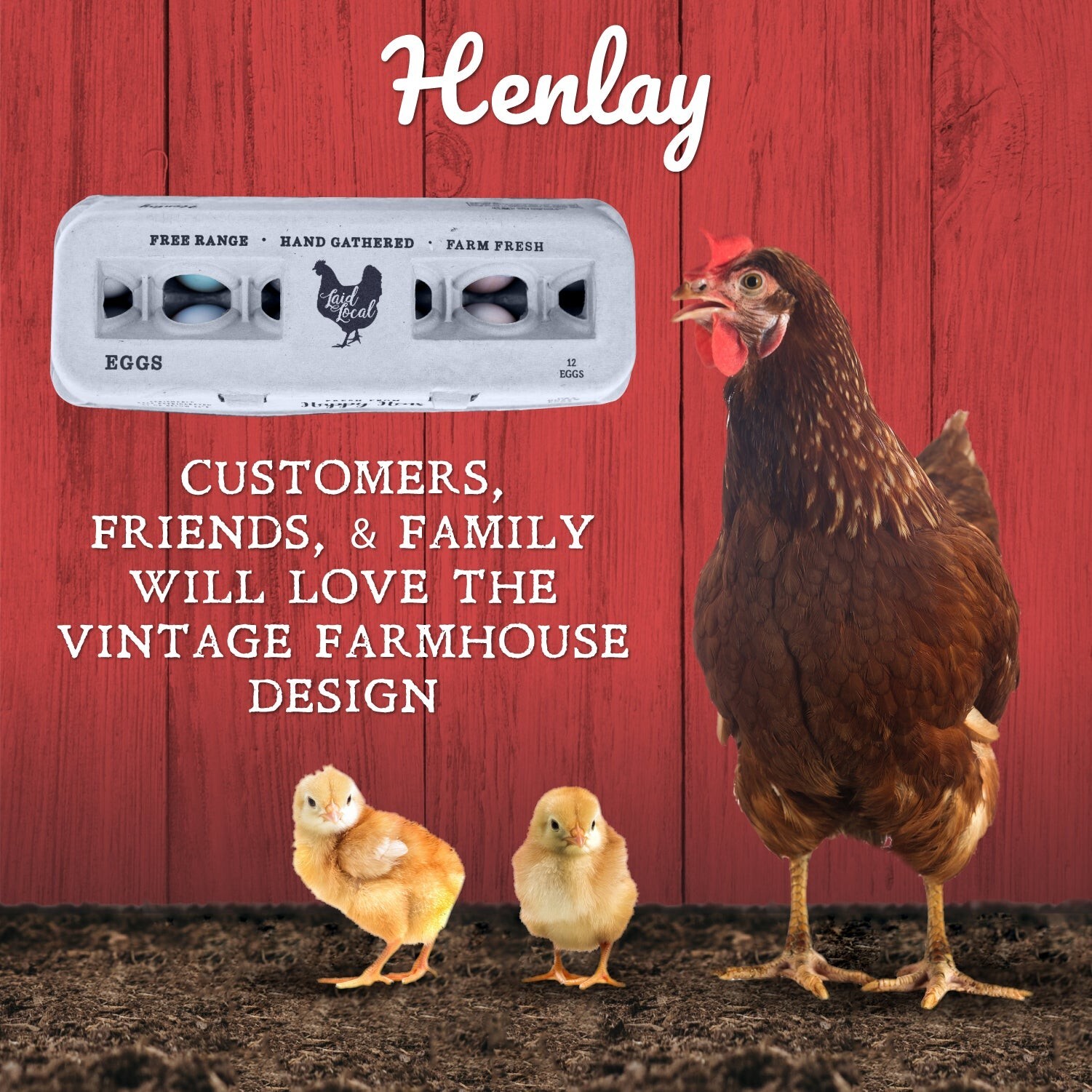 Henlay Laid Local Egg Cartons - Adorable Printed Vintage Design - 25, 90, or 250