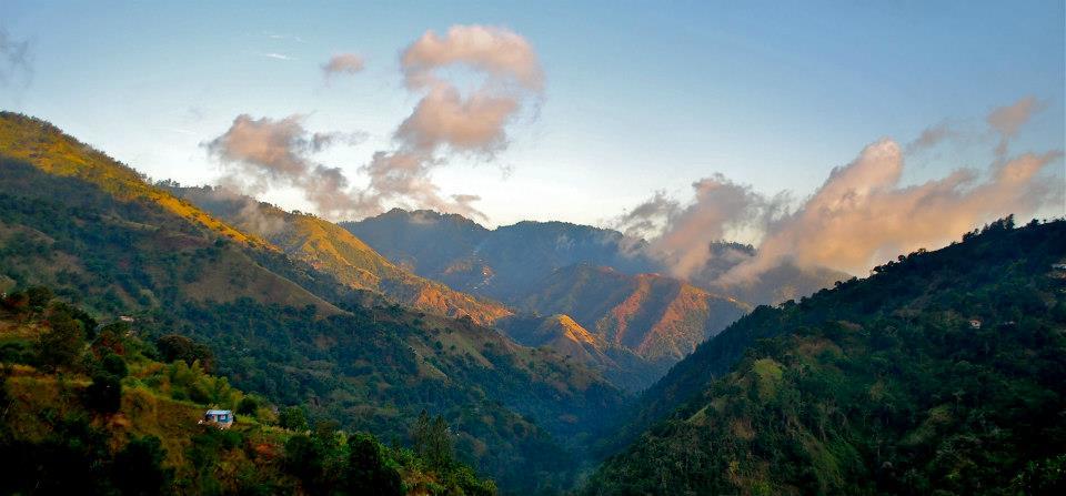 Jamaican Blue Mountain Coffee Beans Peaberry Dark Roasted 10 Pounds 1 Pound Bags