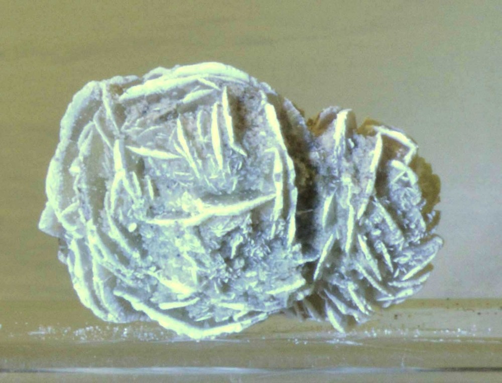 #3036 Selenite Rose - Mexico - Double Rose