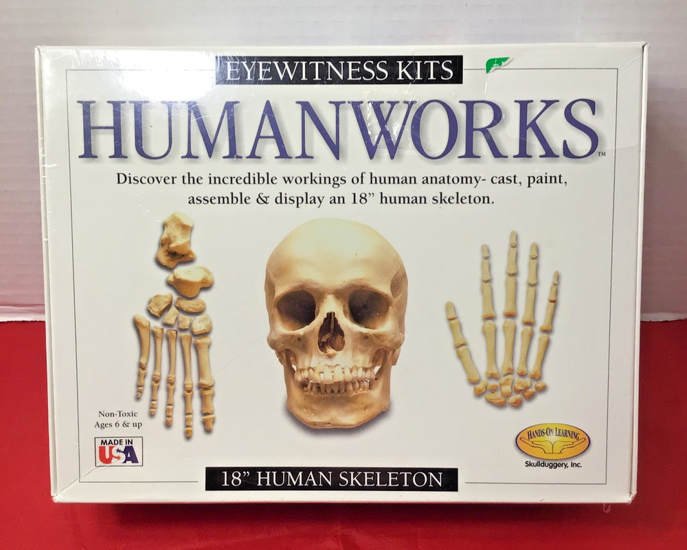 Eyewittness Kits Humanworks 18" Human Skeleton
