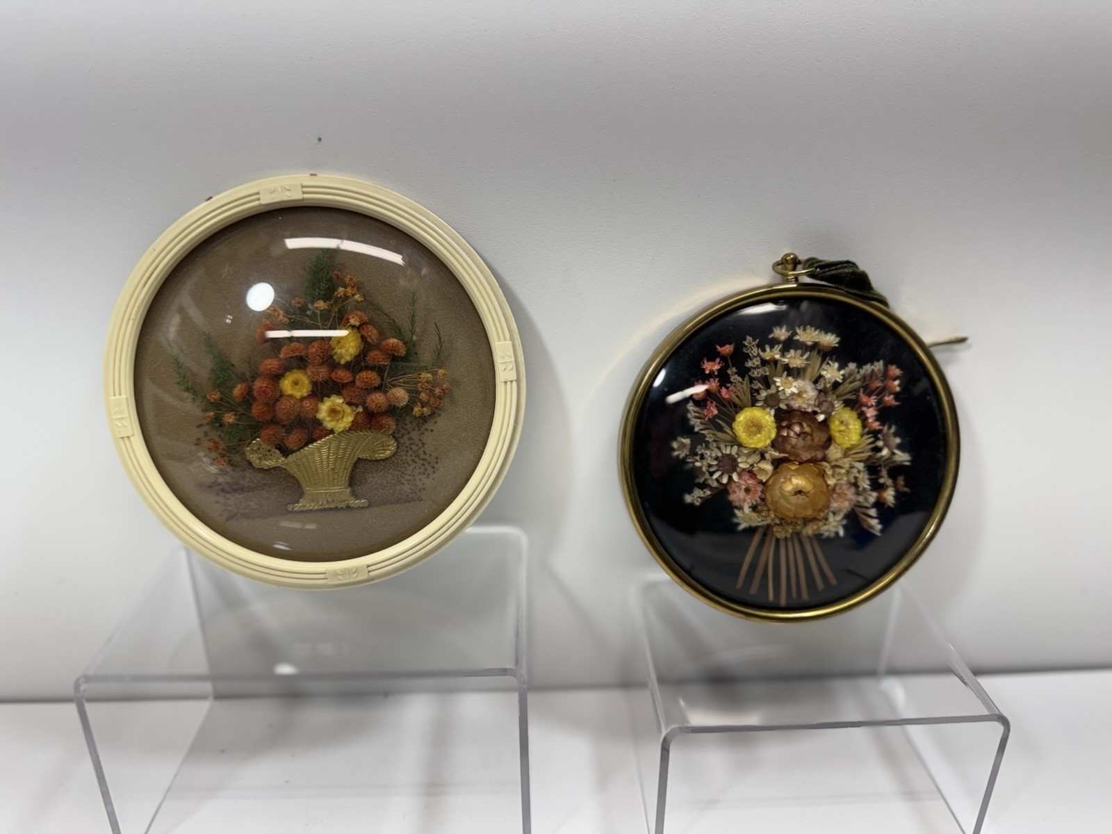 Vintage Belgium Cide Art Dried Flower Art Preserved Under Domed Glass Frame