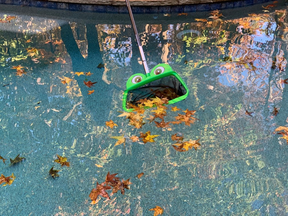Mr. Frog "Freddy" Leaf Rake Net