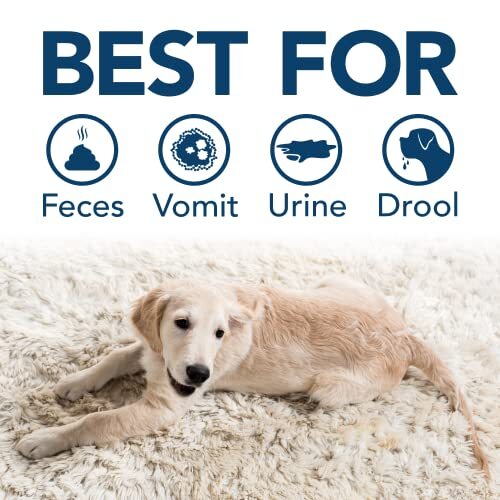 Simple Solution Pet Stain and Odor Remover | Enzymatic Cleaner with 2X